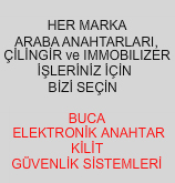 izmir-elektronik-anahtar-immobilizer